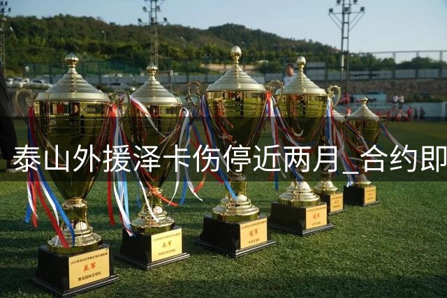 泰山外援泽卡伤停近两月 合约即将到期复出成疑